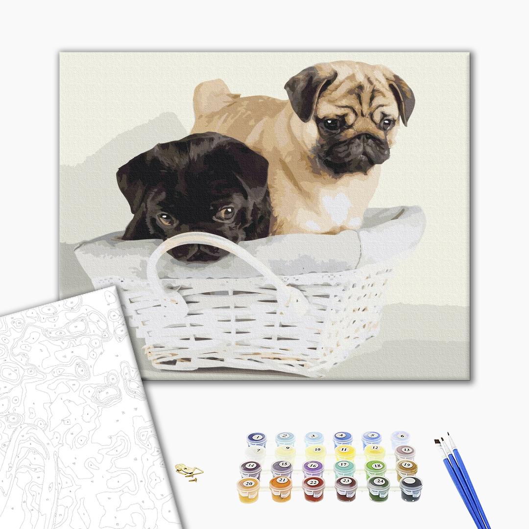 Painting by numbers Friends in the basket (BS52643)