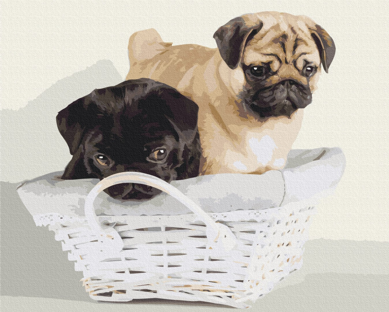 Painting by numbers Friends in the basket (BS52643)