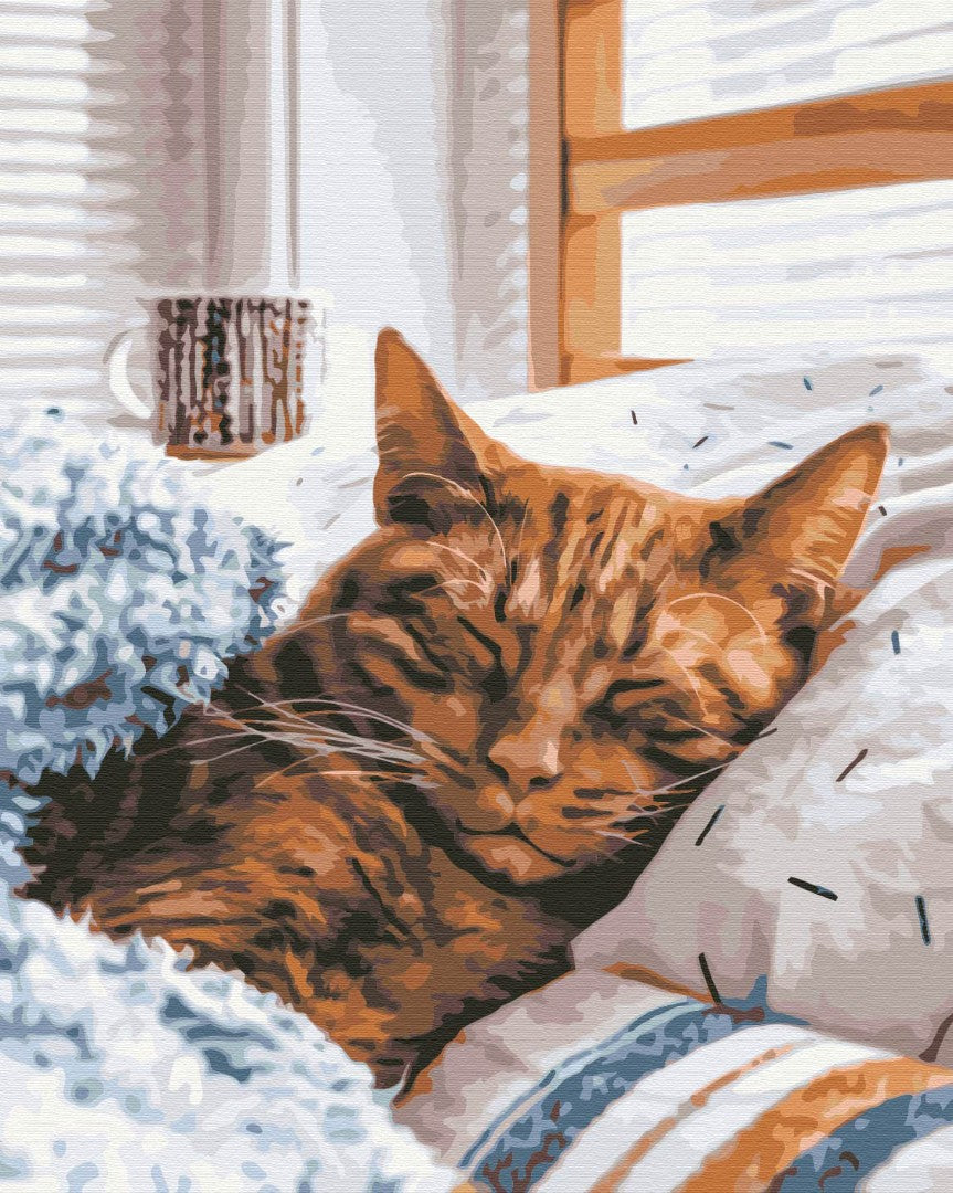 Painting by numbers Morning cat (BS52320)