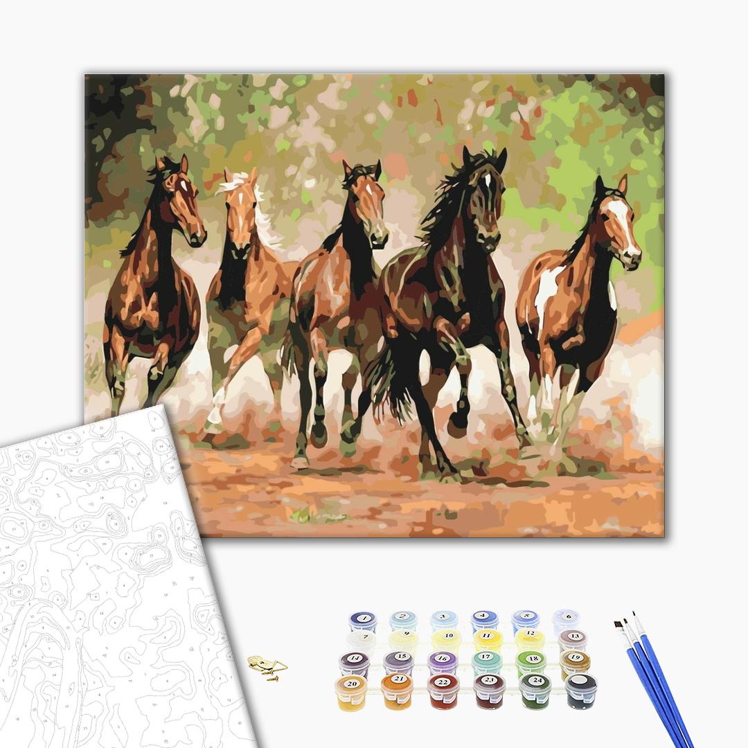 Painting by numbers Herd of horses (BS8288)