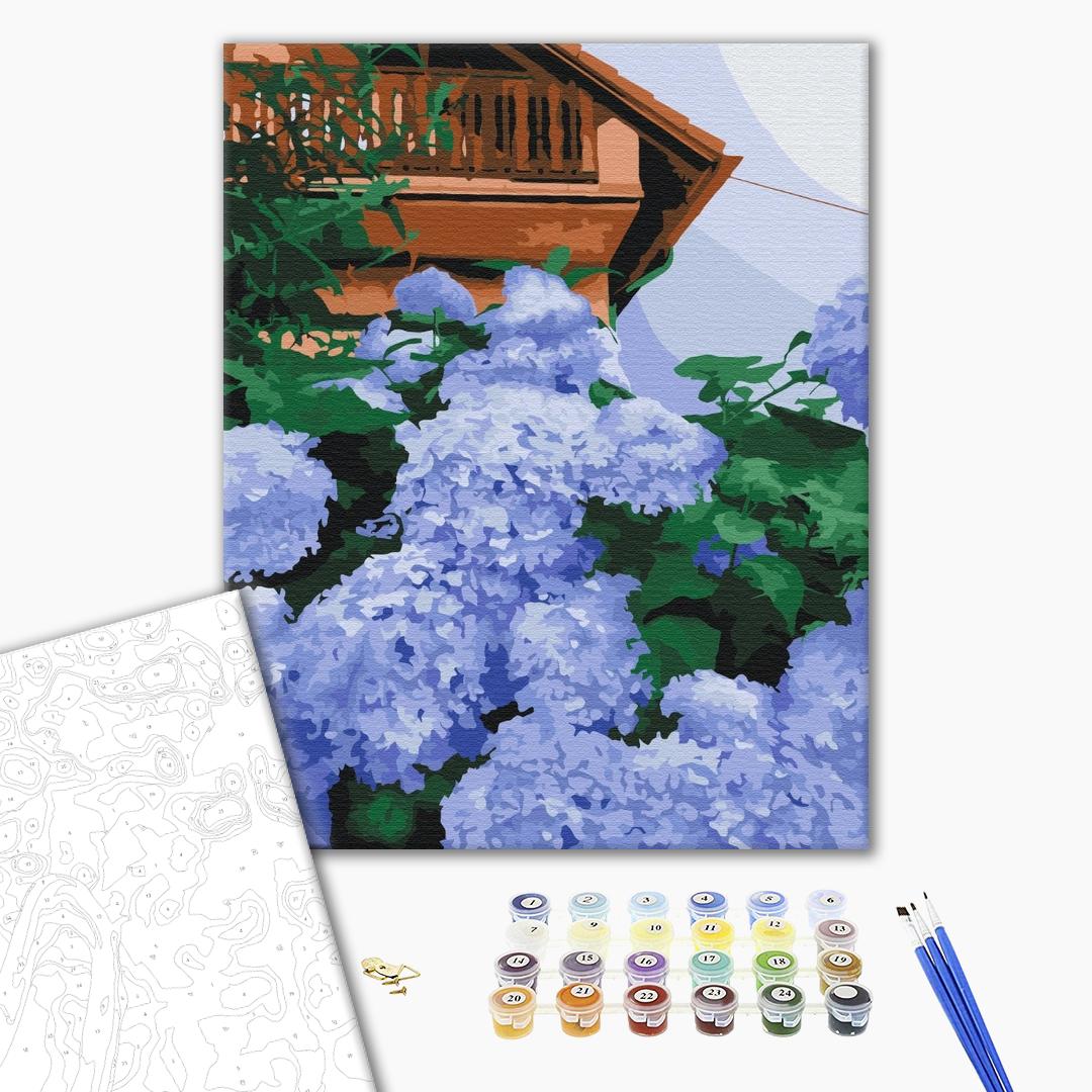 Painting by numbers Hydrangea at home (BS52751)