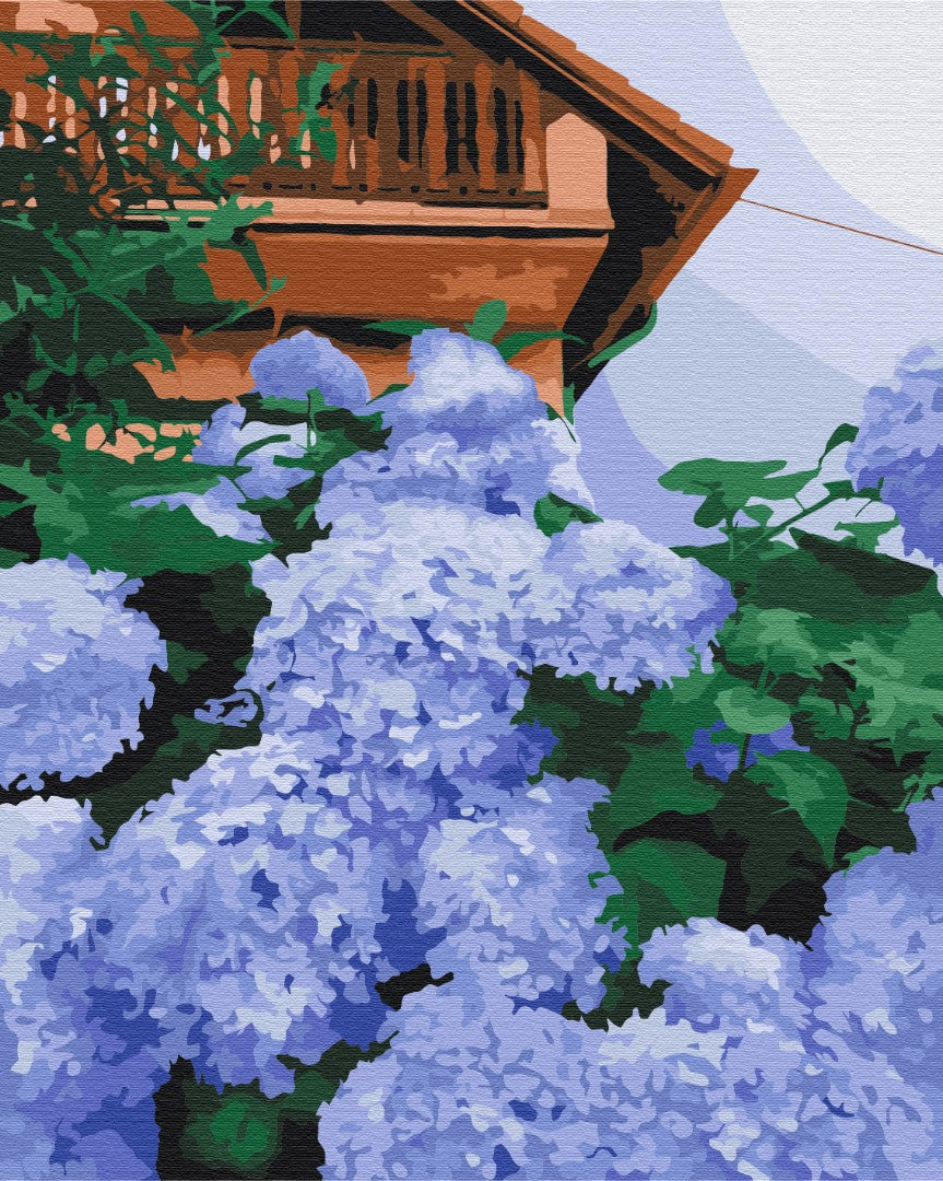Painting by numbers Hydrangea at home (BS52751)
