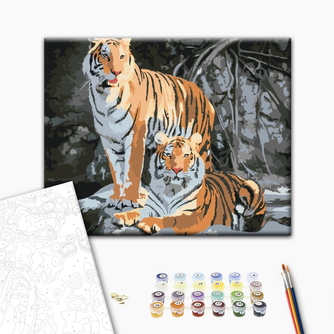 Painting by numbers Wild tigers (BS52793)