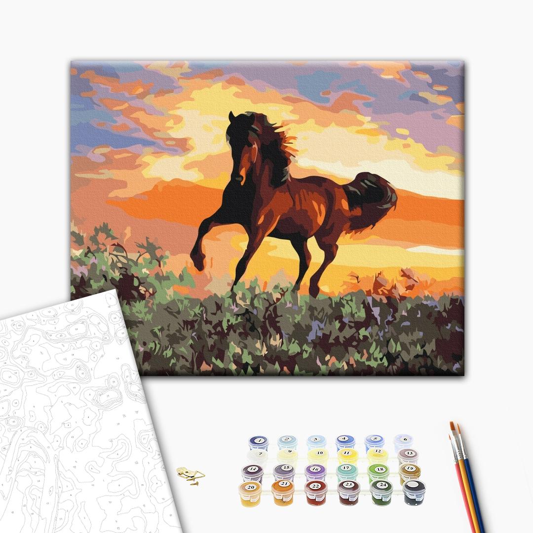 Painting by numbers Horse (BS6943)
