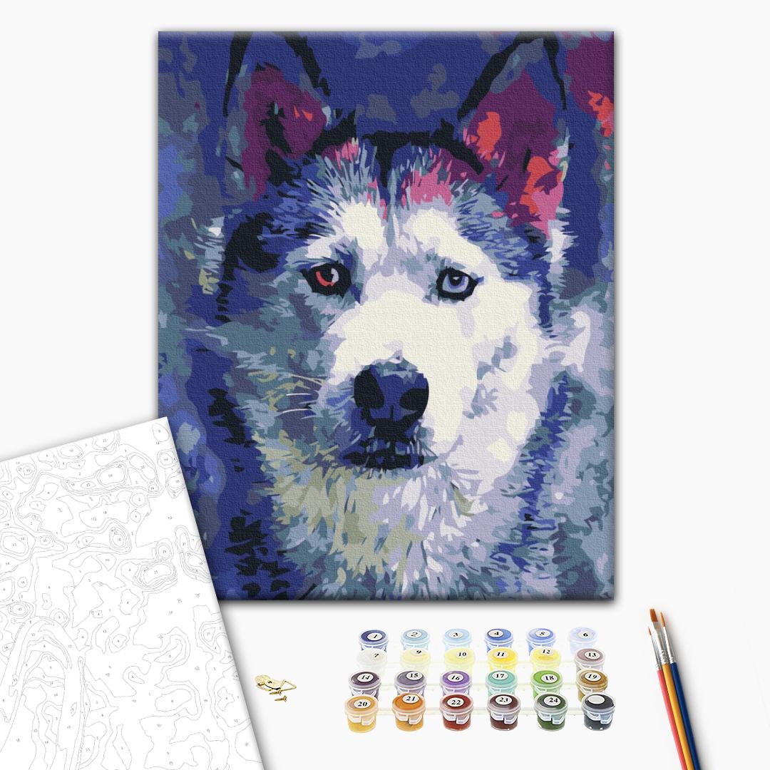 Painting by numbers Husky look (RBS51460)