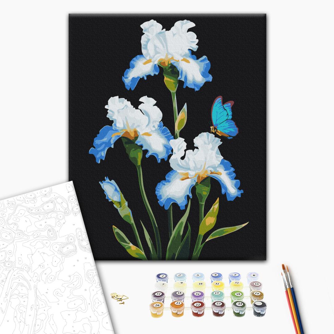 Painting by numbers Irises © Anna Steshenko (BS53915)