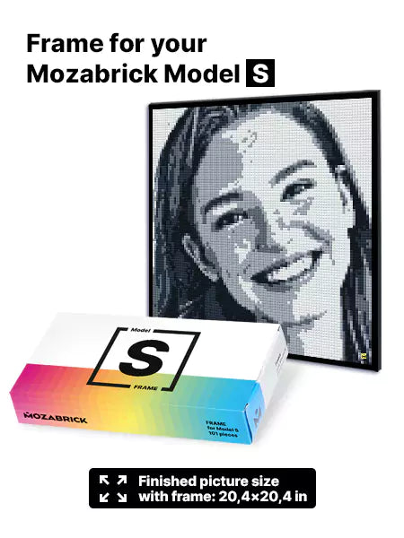 Frame for Mozabrick Model S