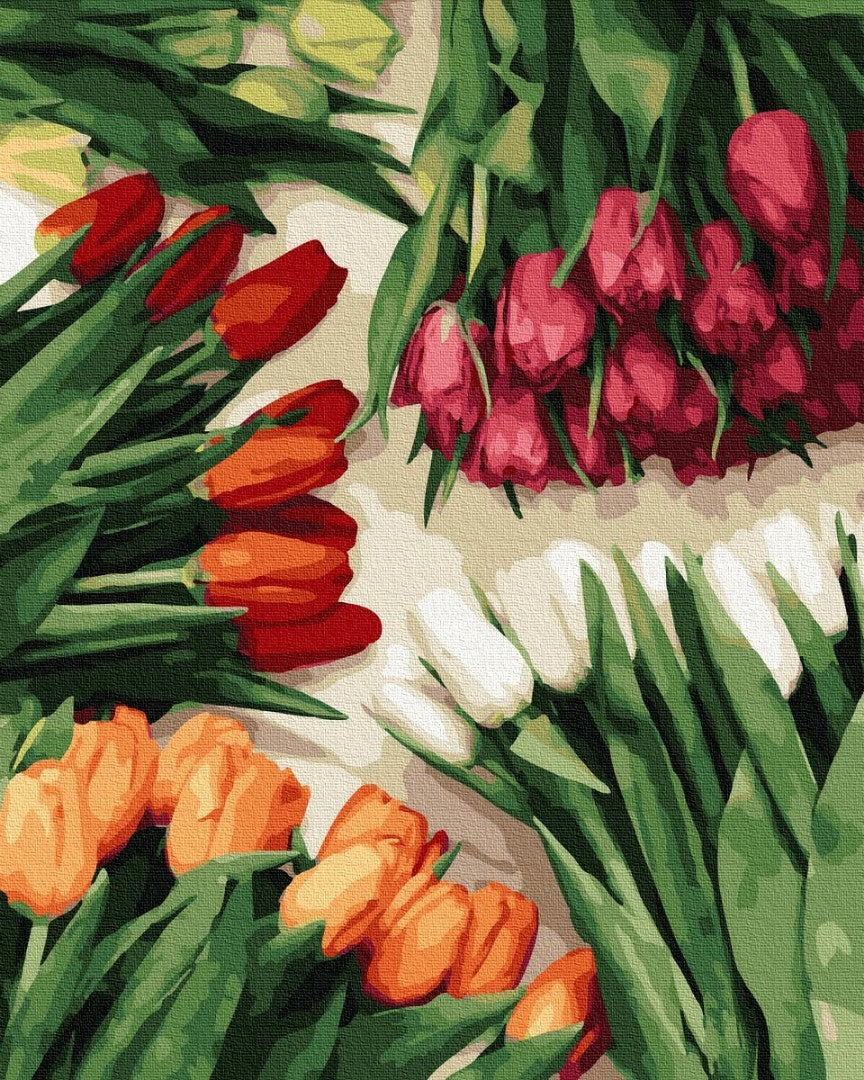 Paint by numbers Colorful tulips - StringArt.lv