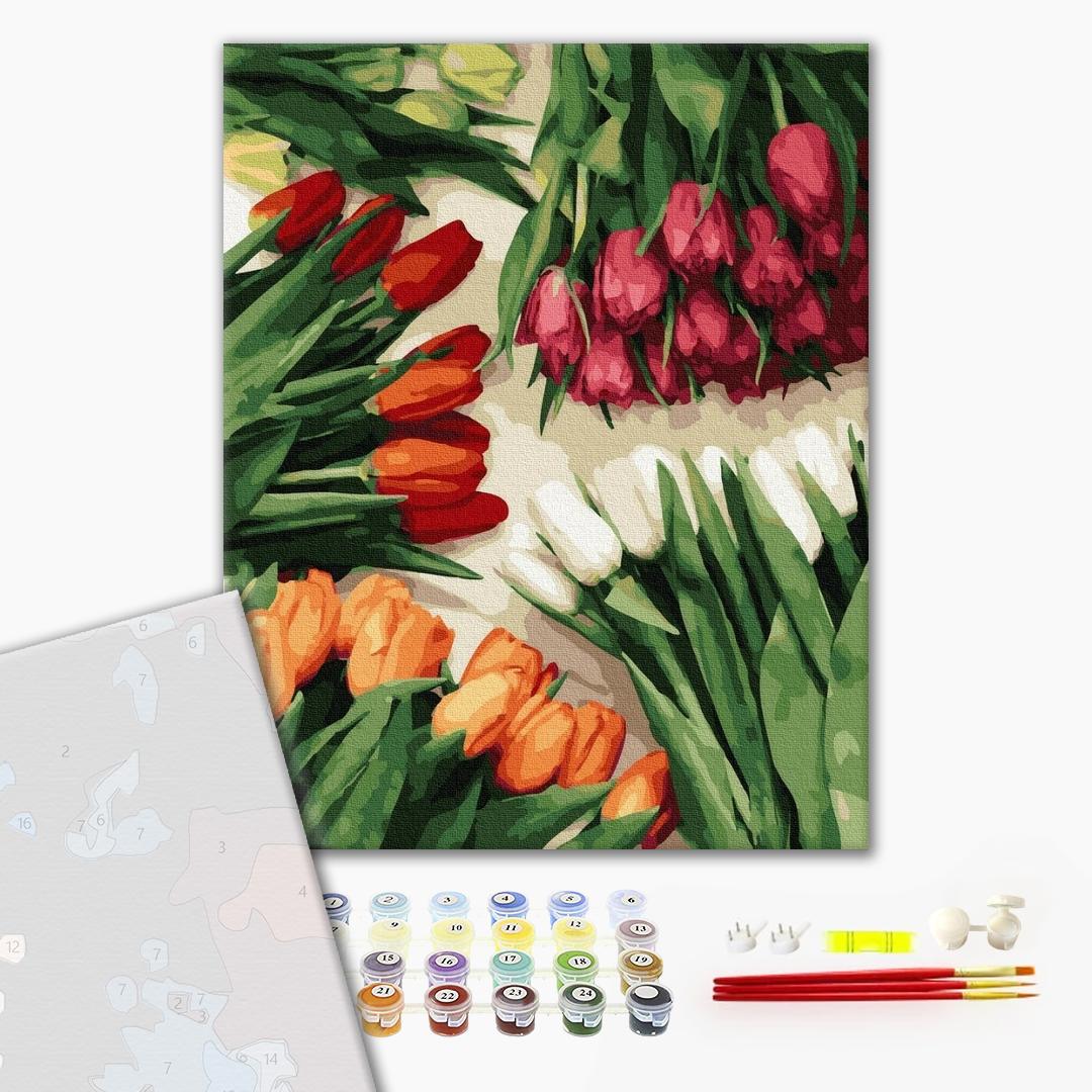 Paint by numbers Colorful tulips - StringArt.lv