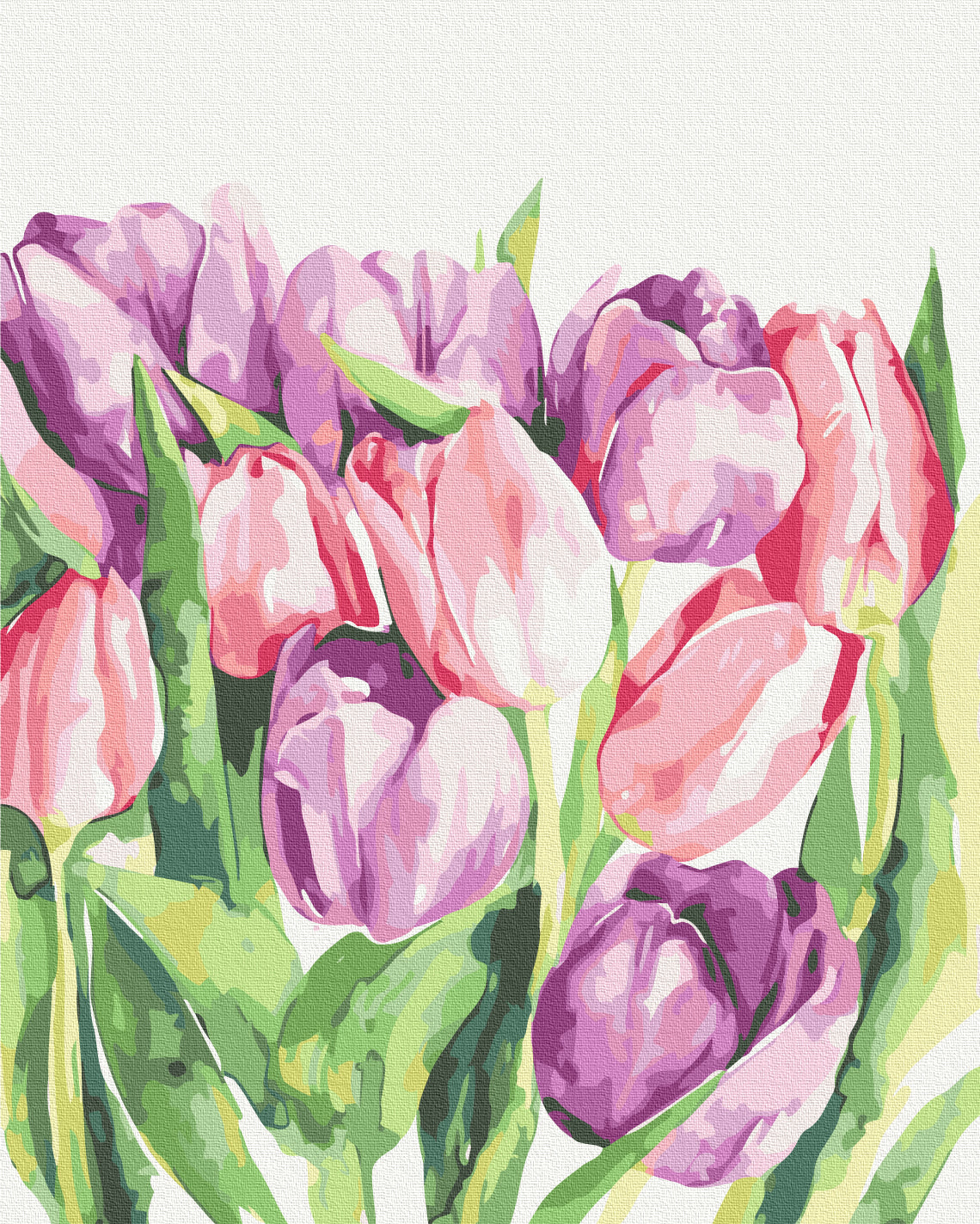 Painting by numbers Morning tulips © Karolina Bundash (BS53939)