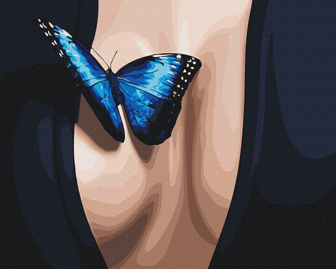Painting by numbers Blue Flutter (BS53938)