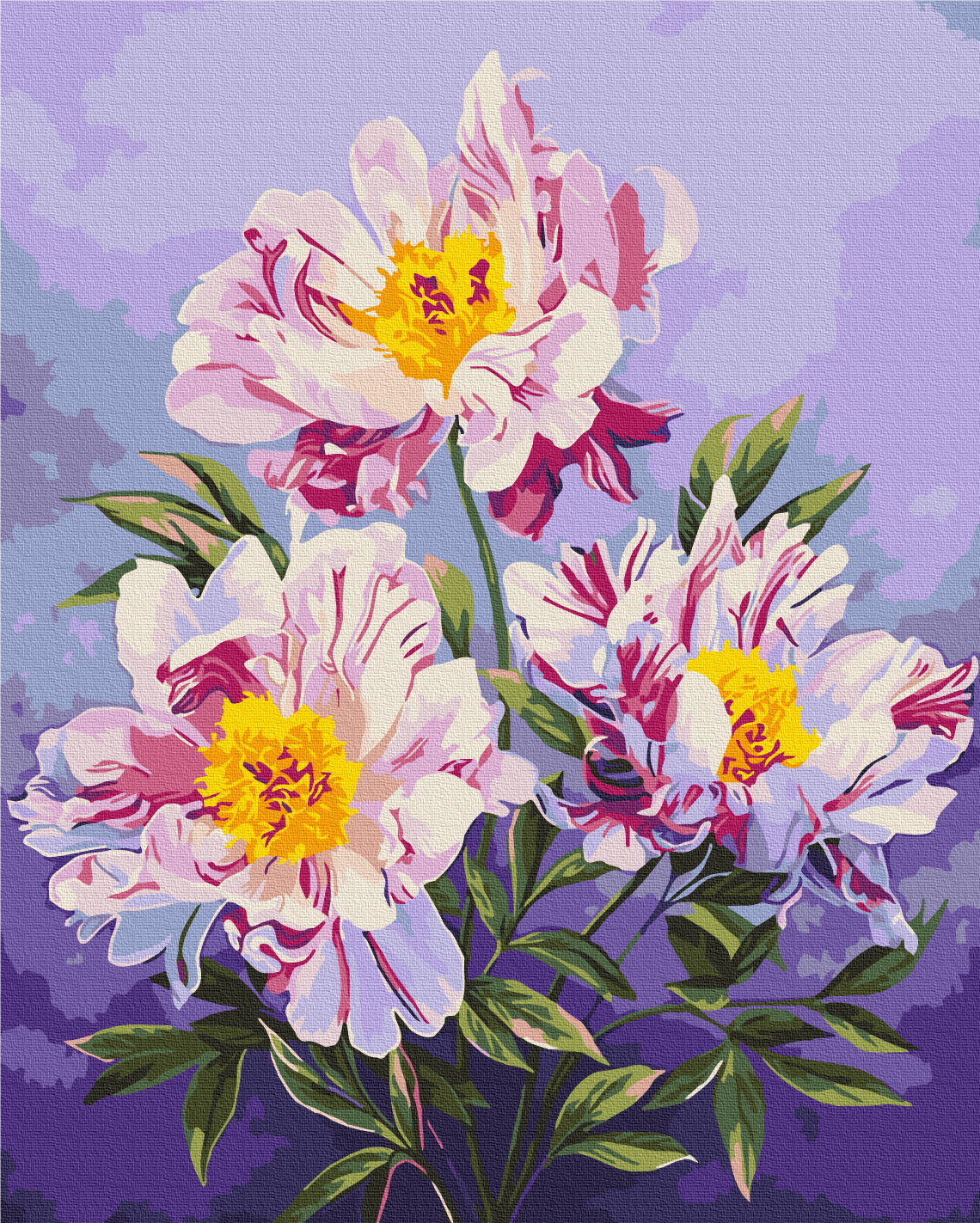 Painting by numbers The kingdom of peonies © Anna Steshenko (BS53920)