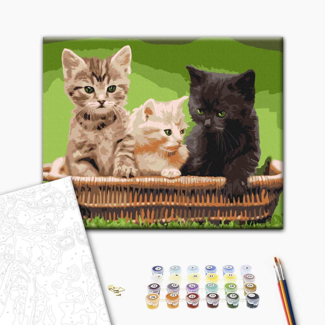 Painting by numbers Kittens in a basket (RBS52621)