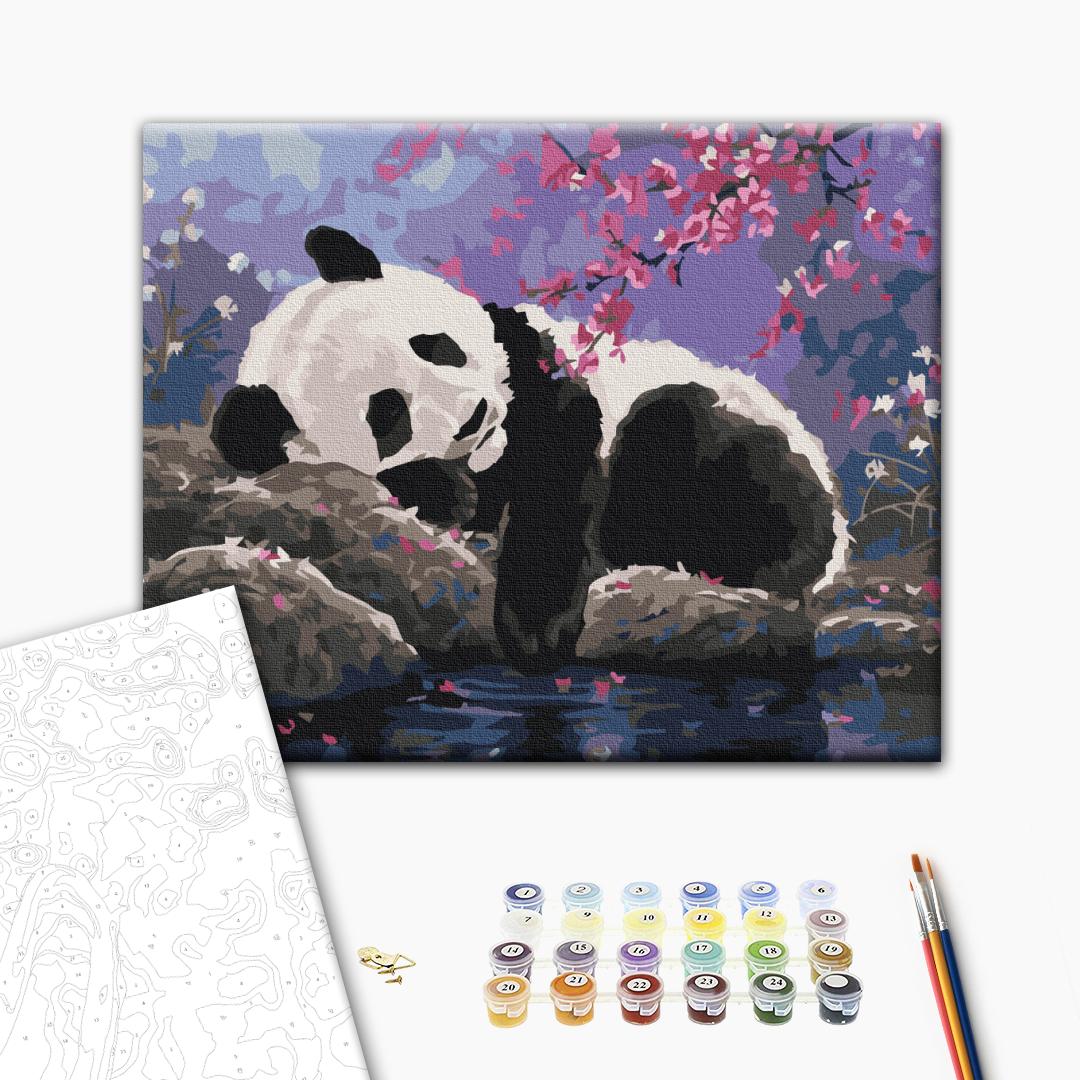 Painting by numbers Sweet panda sleep (RBS25108)