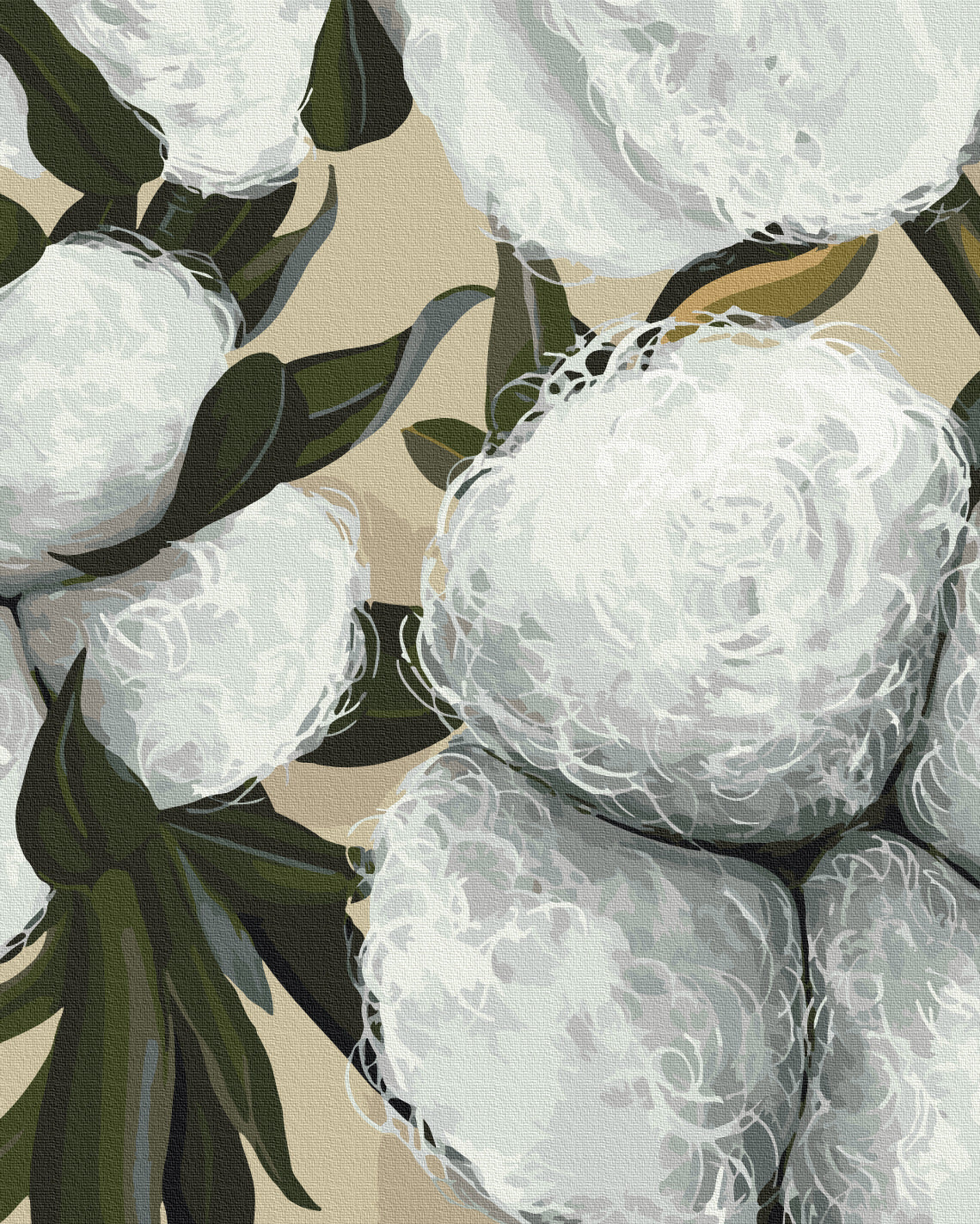 Painting by numbers Cotton © Yana Biluhina (BS54064)