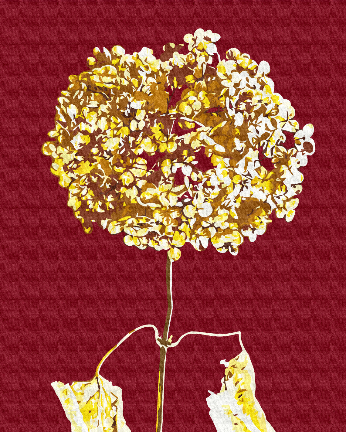 Painting by numbers Golden hydrangea © Halyna Vitiuk (BS53997)