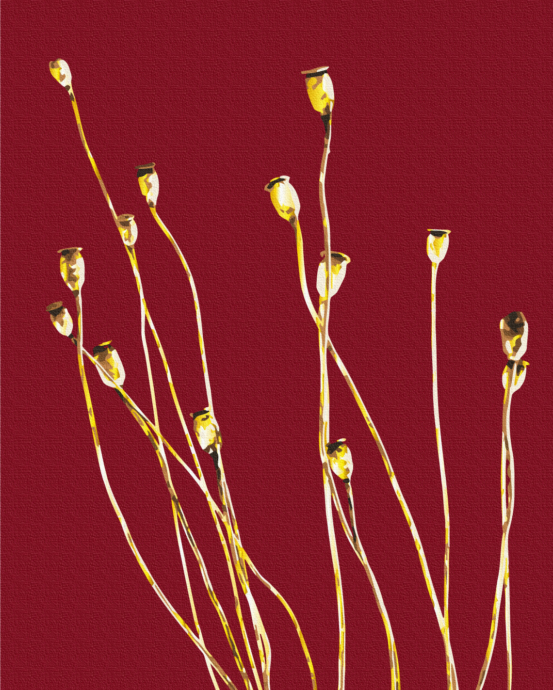 Painting by numbers Golden field poppies © Halyna Vitiuk (BS53990)