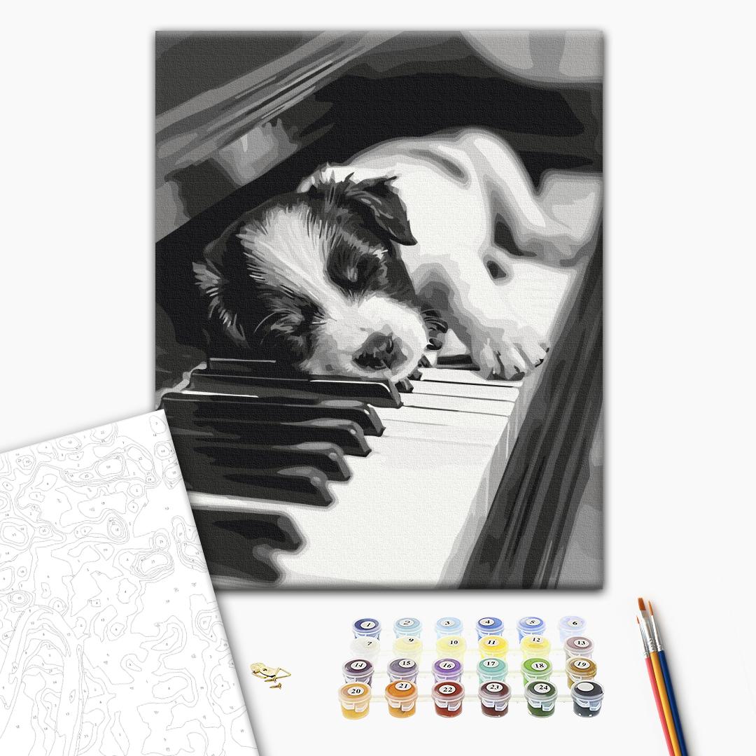 Painting by numbers Melody of Sleep (BS54066)