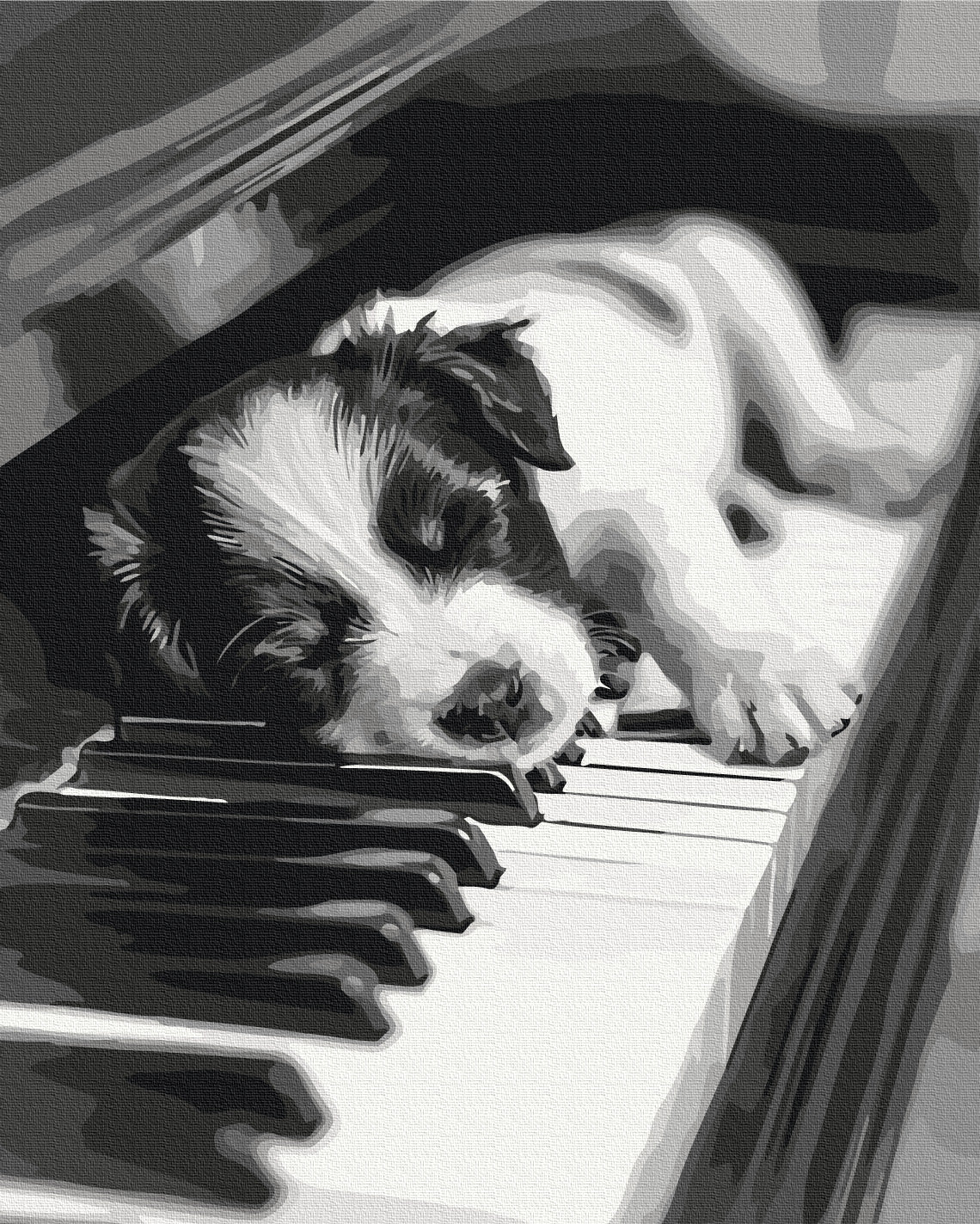 Painting by numbers Melody of Sleep (BS54066)