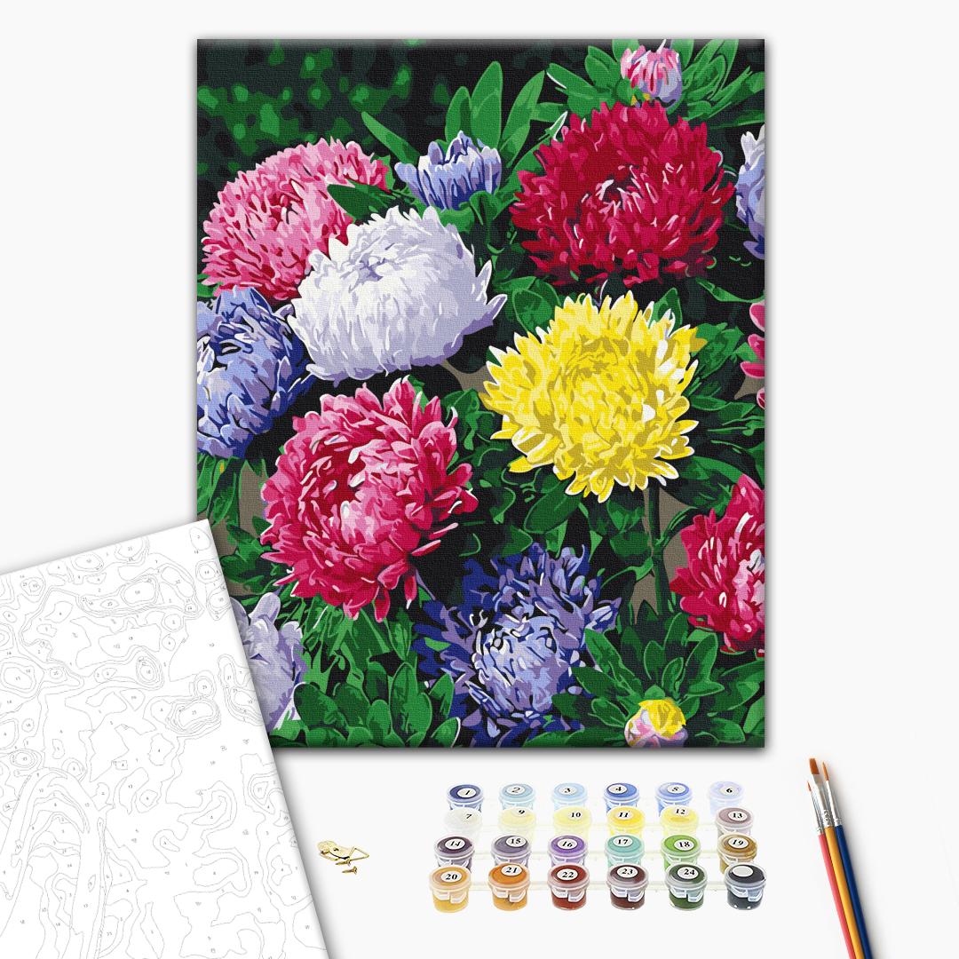 Painting by numbers Colorful asters (BS54120)