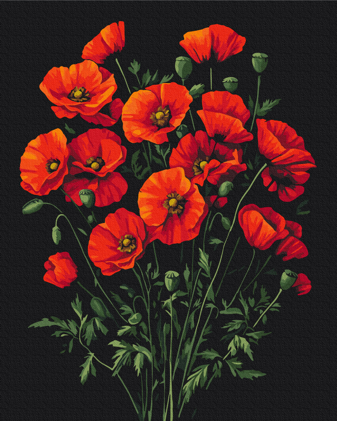Painting by numbers The charm of poppies (BS54146)