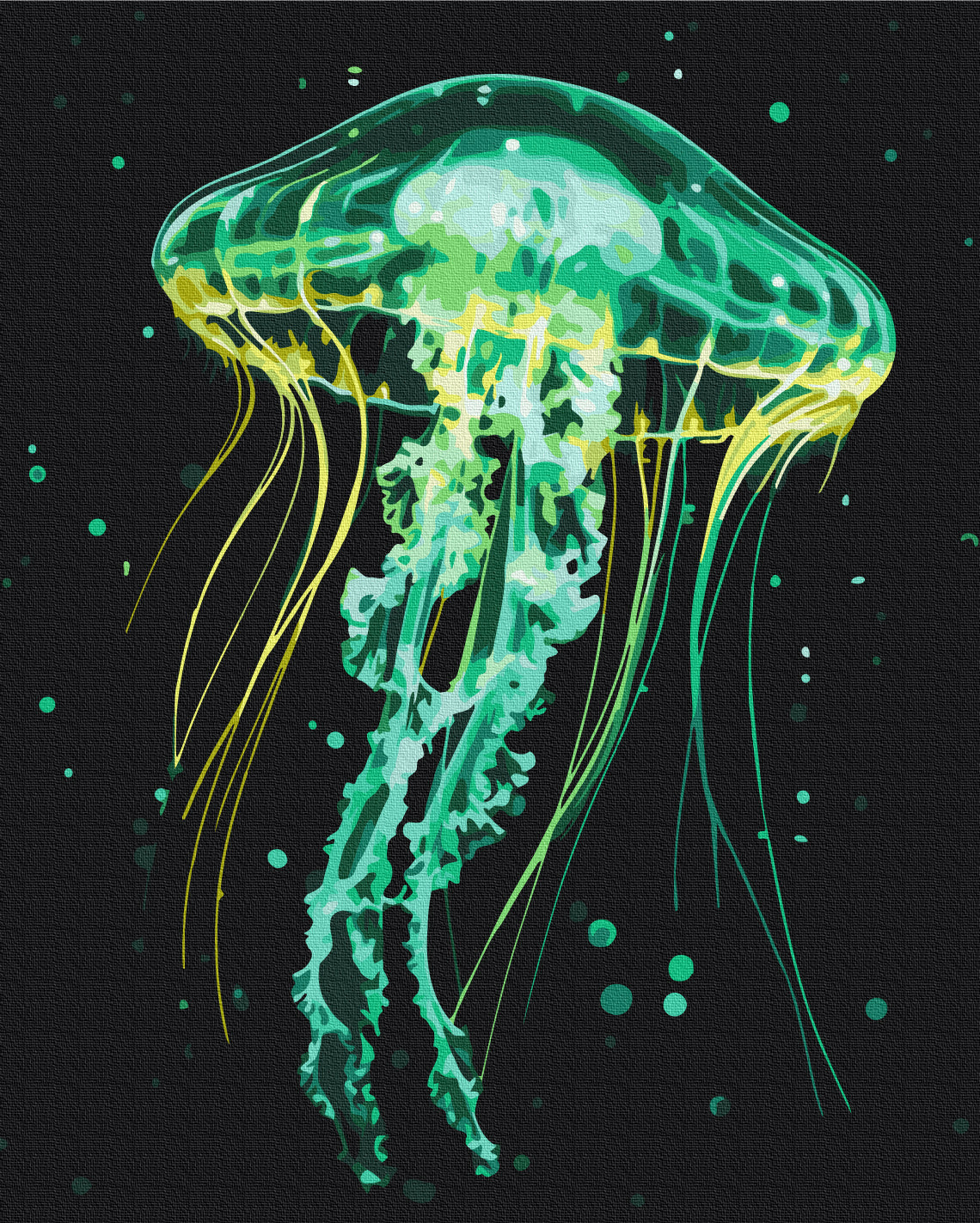 Painting by numbers Shining jellyfish (BS54149)