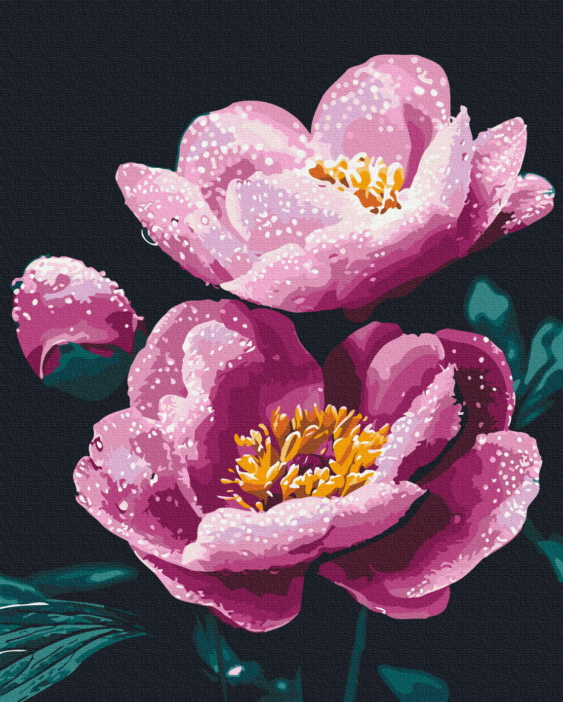 Painting by numbers Morning freshness (BS54155)