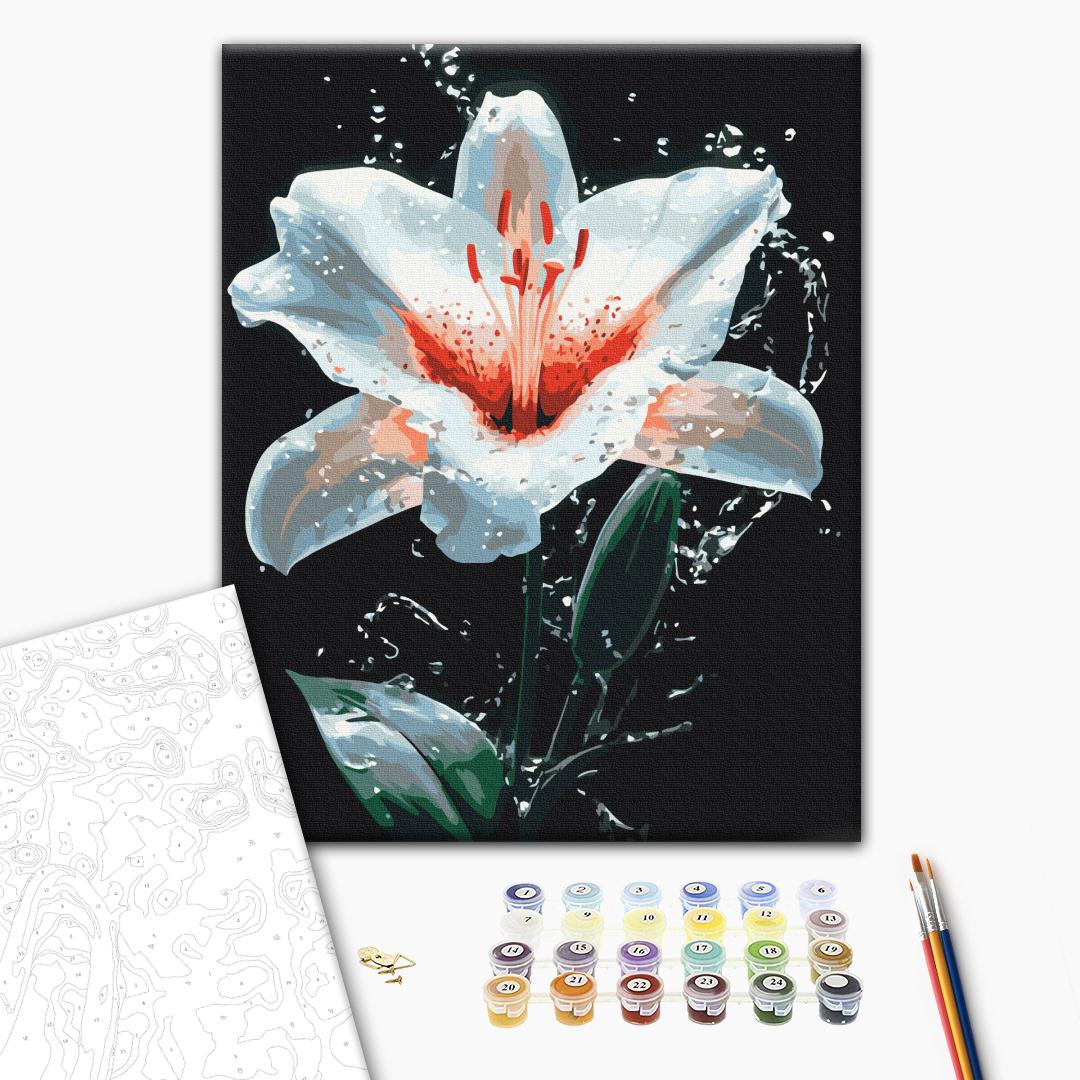 Painting by numbers The radiance of the lily (BS54156)