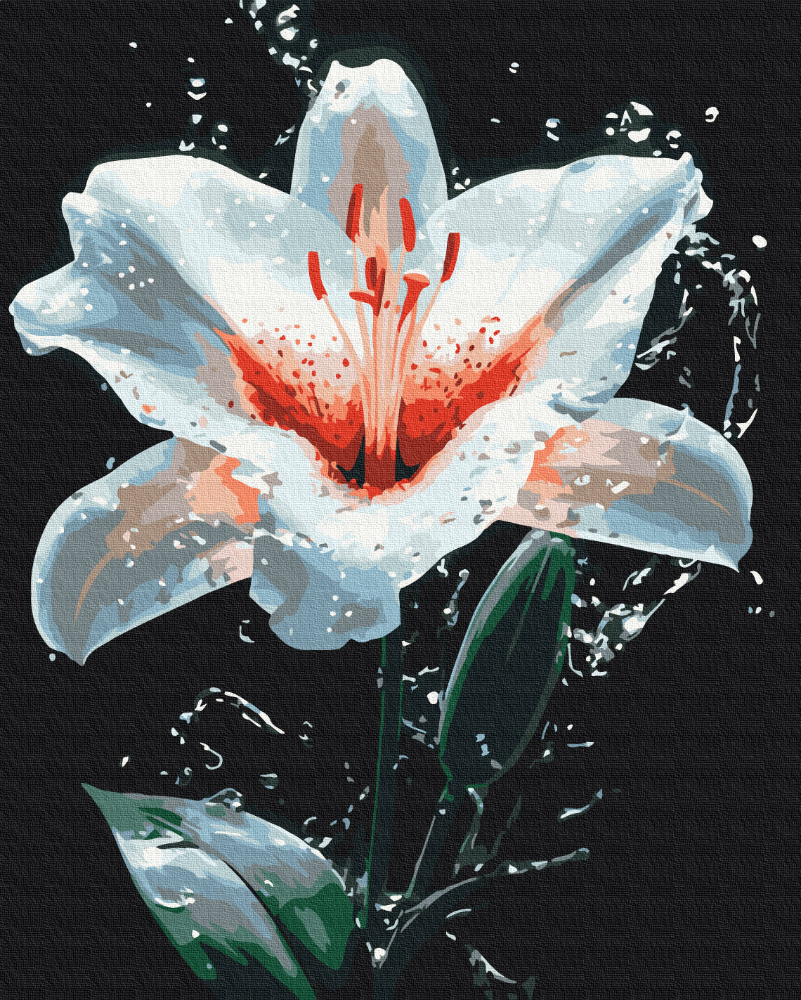 Painting by numbers The radiance of the lily (BS54156)
