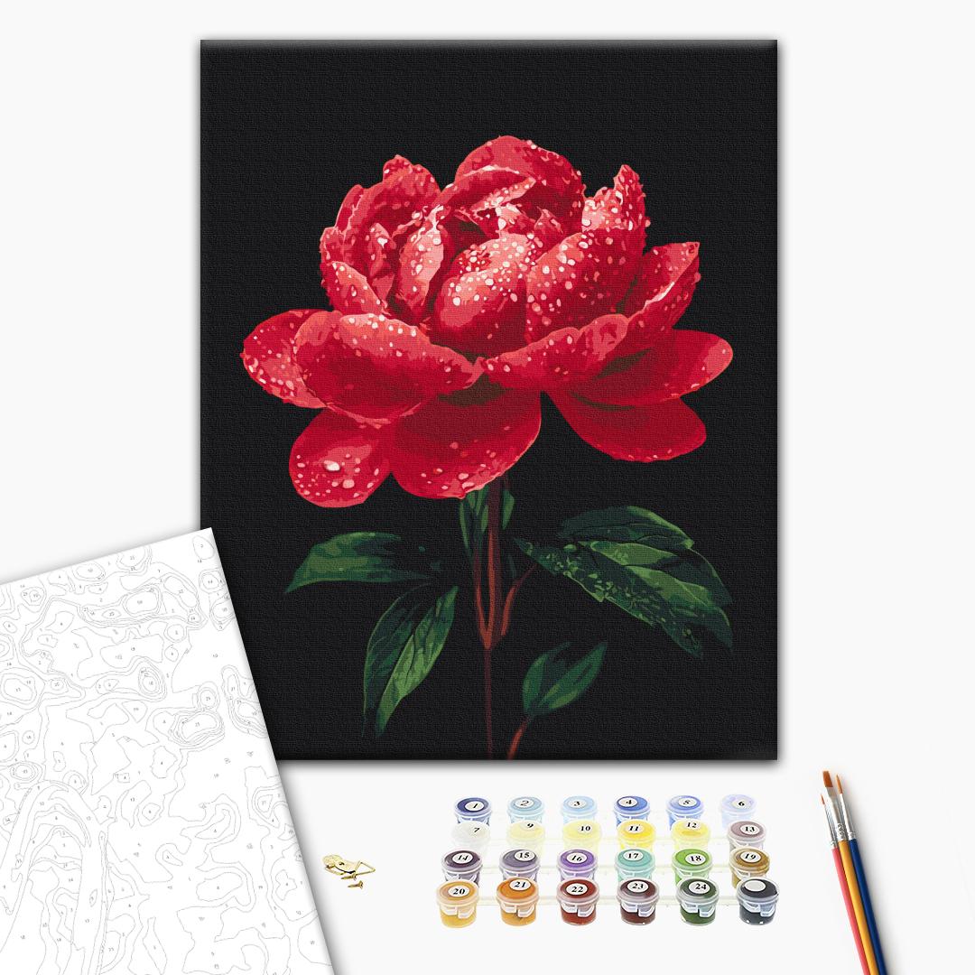 Painting by numbers Peonies in the glow of dew (BS54148)