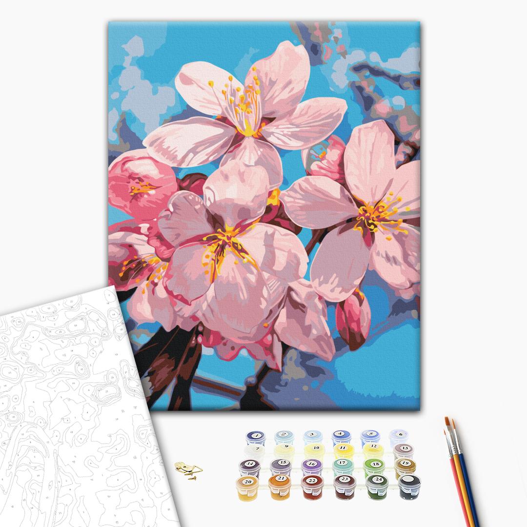 Painting by numbers Plum blossom © Anastasiia Osmolovska (BS54283)