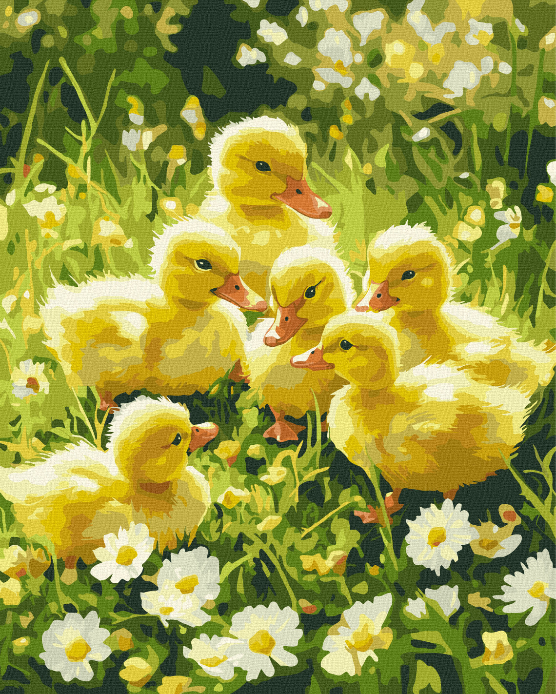 Painting by numbers Cute fluffy things on the lawn (BS54232)