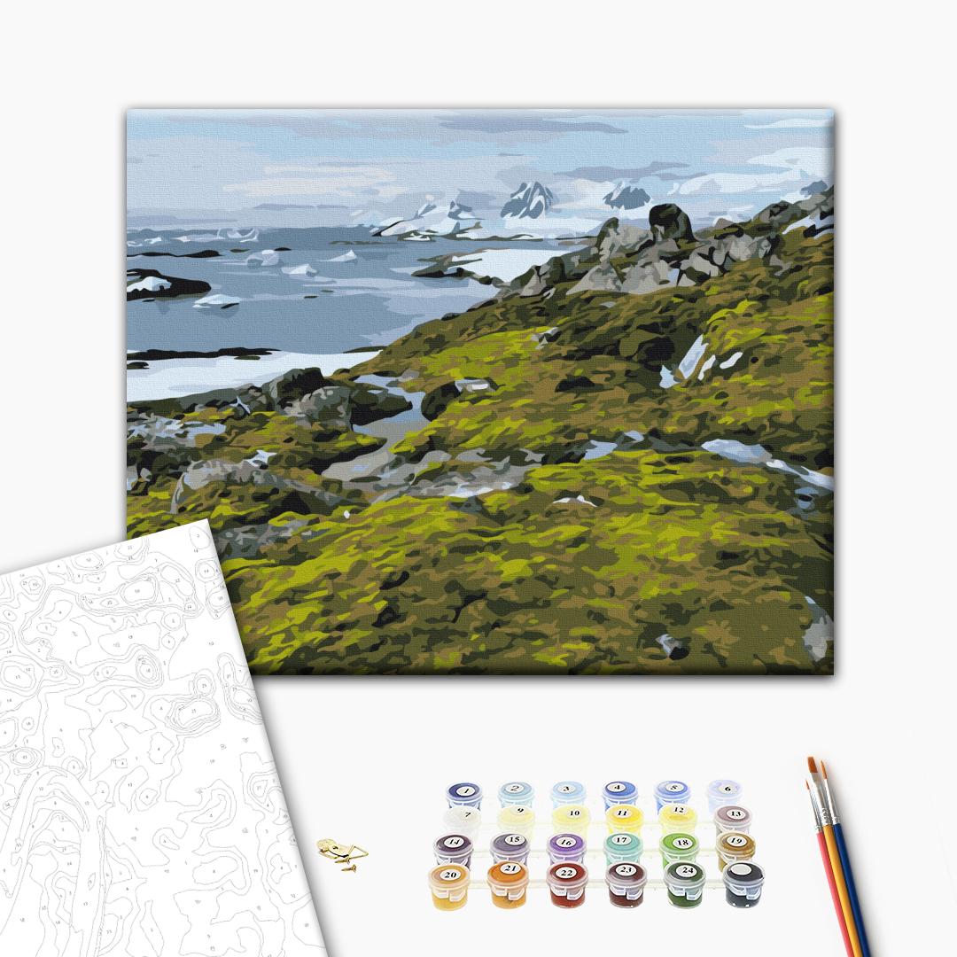 Painting by numbers Green Antarctica © Dmytro Martynenko (BS54265)