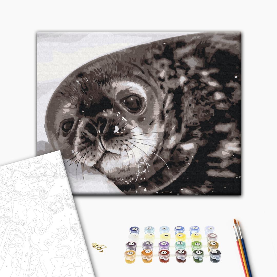 Painting by numbers Weddell seal cub © Serhiy Glotov (BS54267)