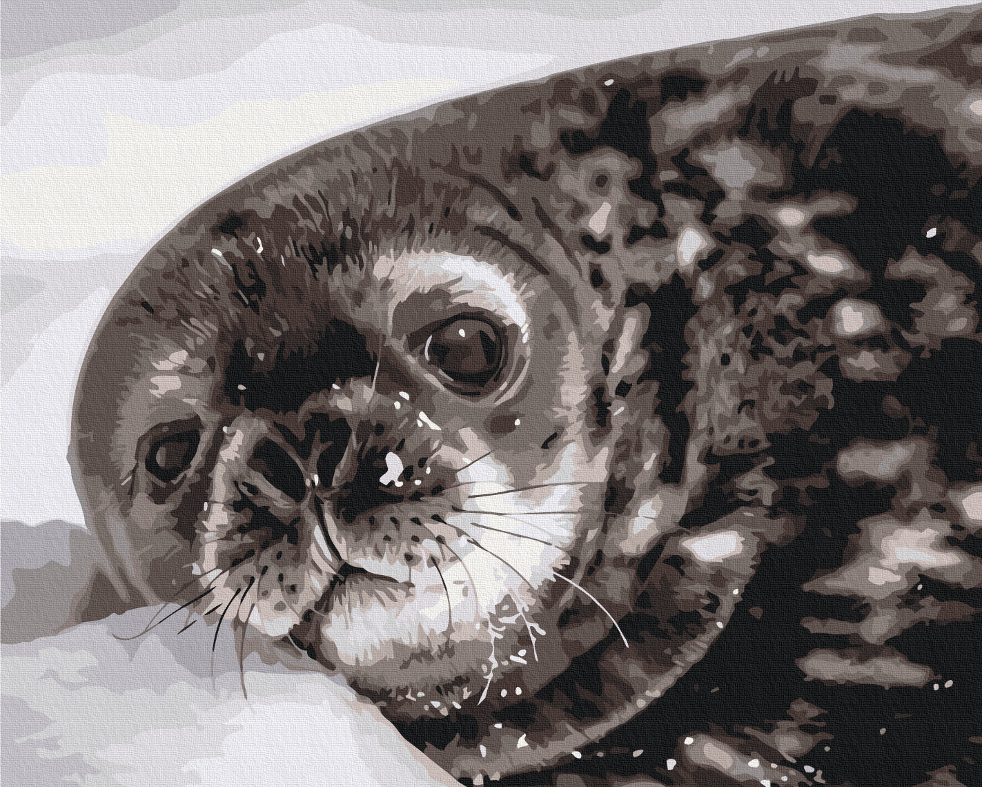Painting by numbers Weddell seal cub © Serhiy Glotov (BS54267)