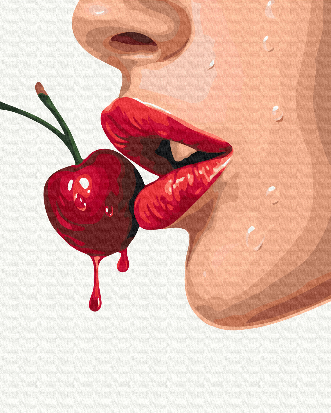 Painting by numbers Seductive red (BS54340)