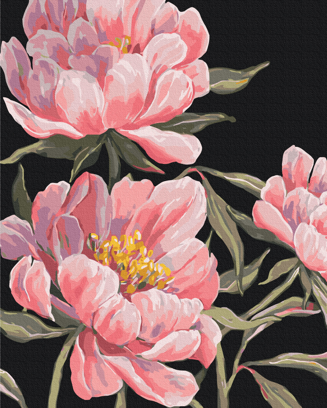 Painting by numbers The language of peonies © LUNATART (BS54305)