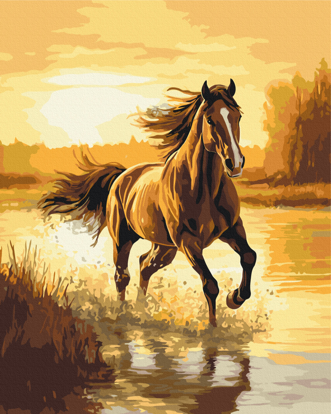 Painting by numbers Wind in the mane (BS54419)