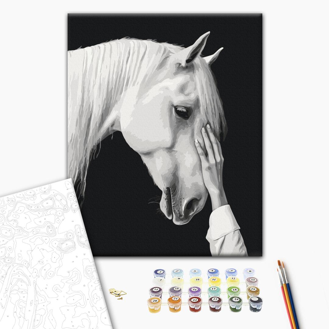 Painting by numbers White mirage (BS54416)