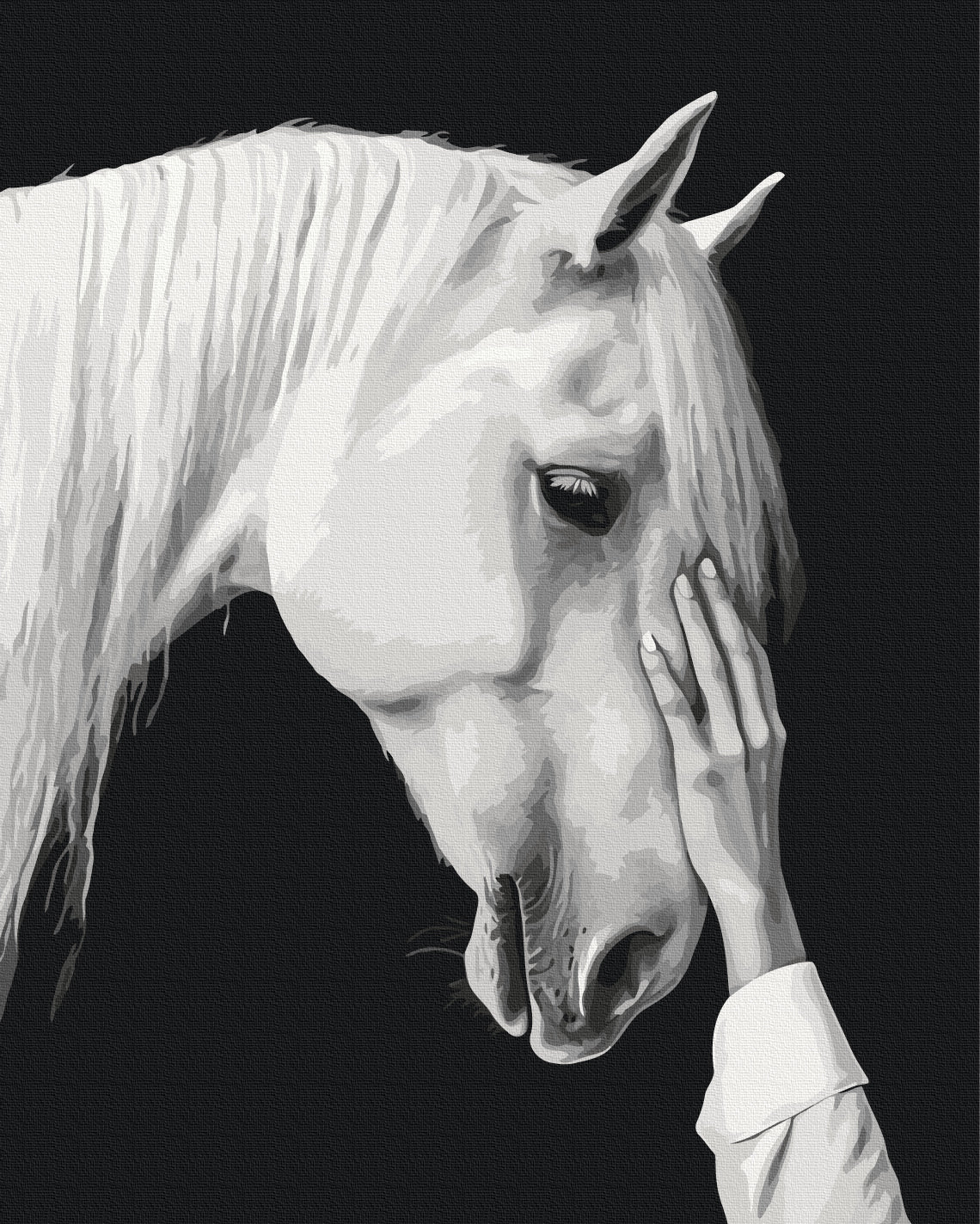Painting by numbers White mirage (BS54416)