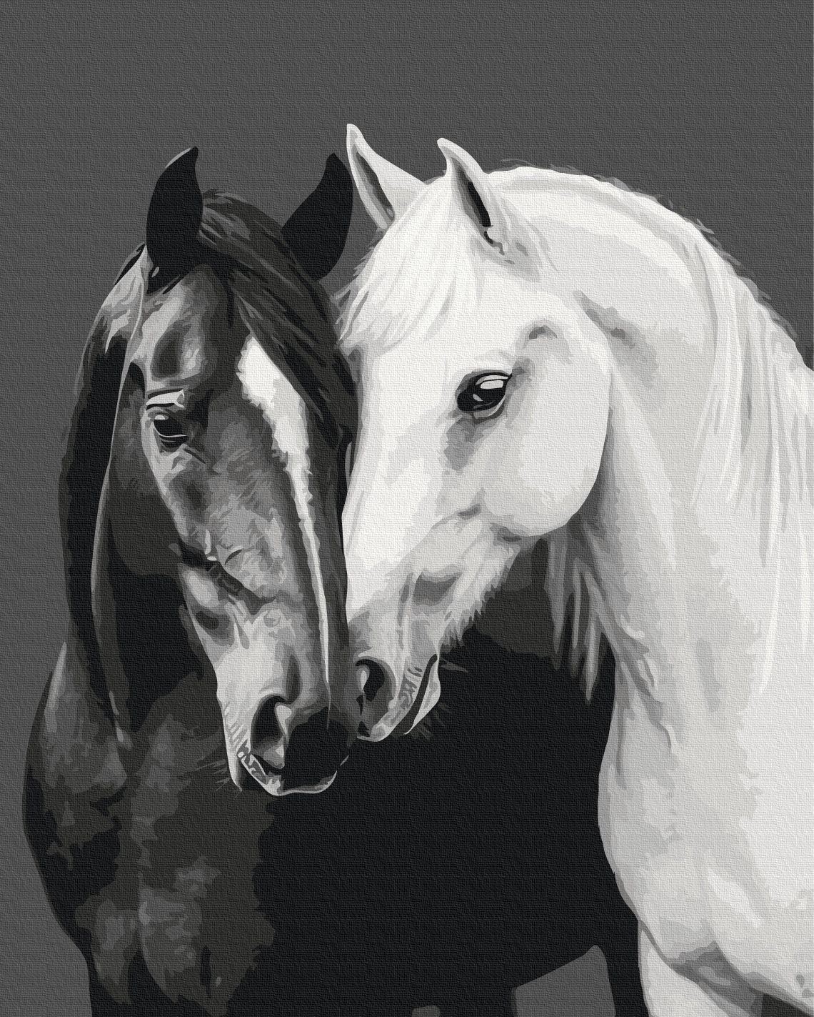 Painting by numbers Black and white heart (BS54418)