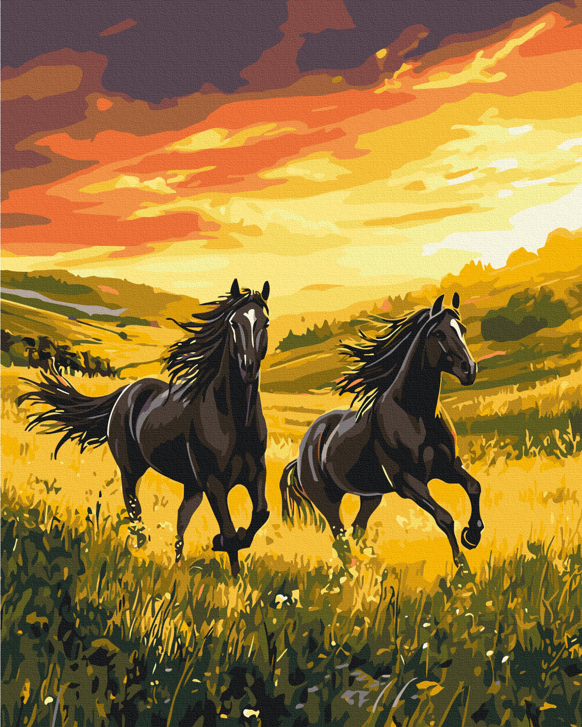 Painting by numbers Unconquered running (BS54424)