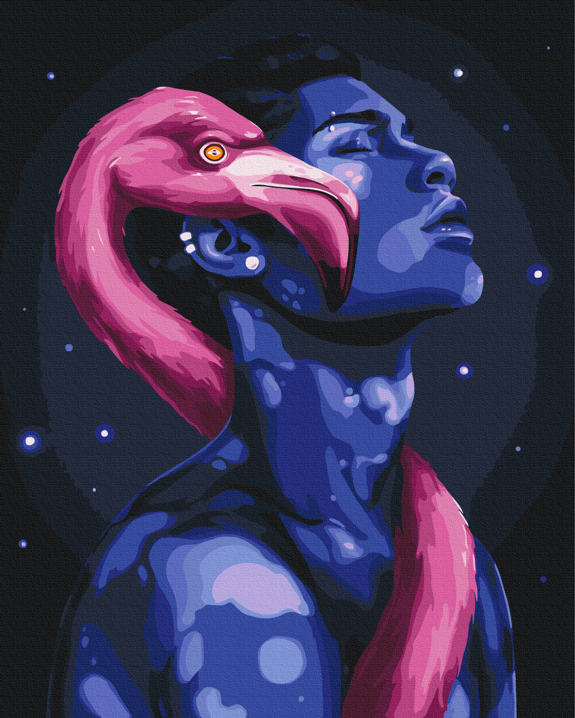 Painting by numbers Flamingo © Solomiya Kovalchuk (BS54460)