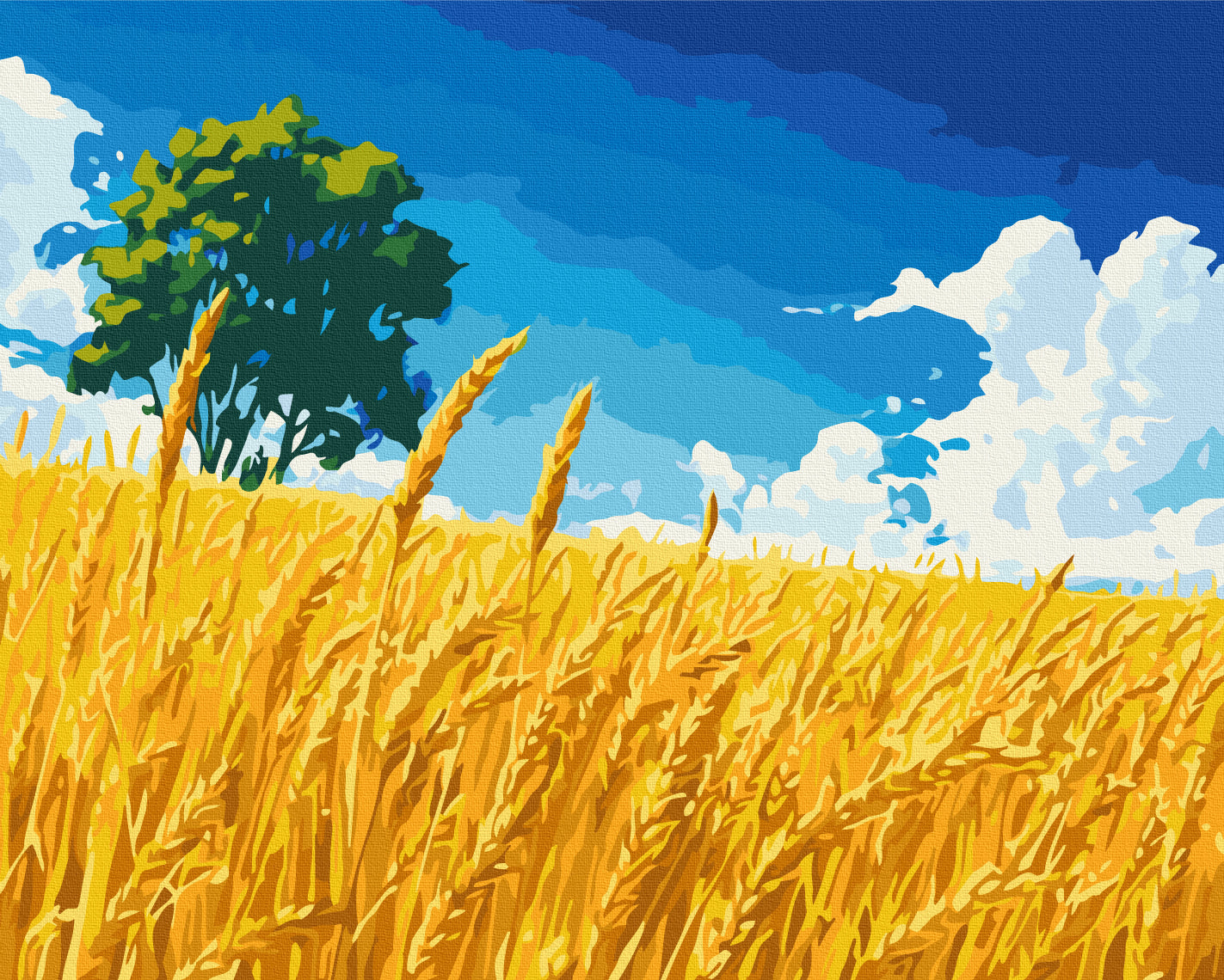 Painting by numbers Field of golden ears of corn (BS54382)