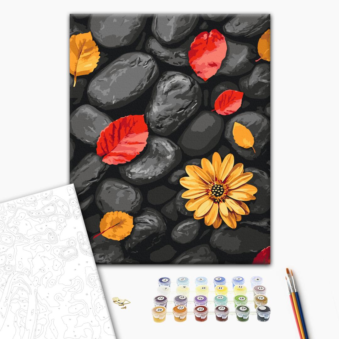 Painting by numbers Leaves on stones (BS54394)