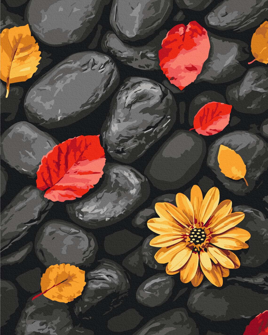 Painting by numbers Leaves on stones (BS54394)