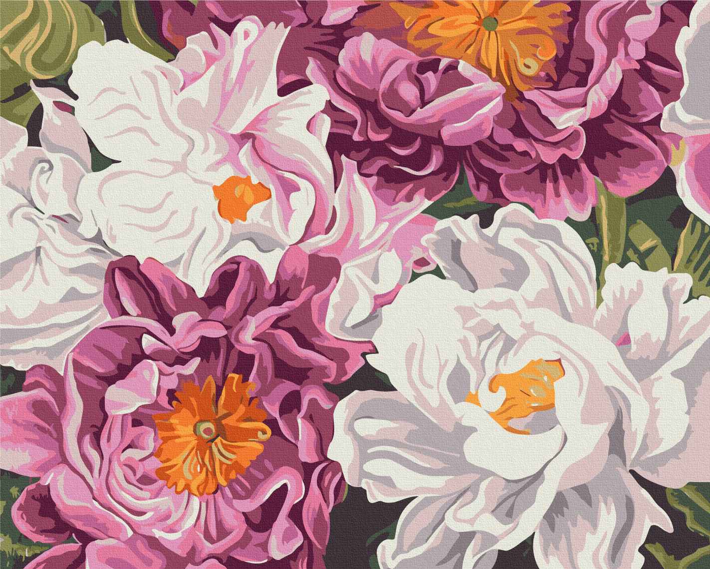 Painting by numbers Dreams of peonies © Anastasia Alyokhina (BS54483)