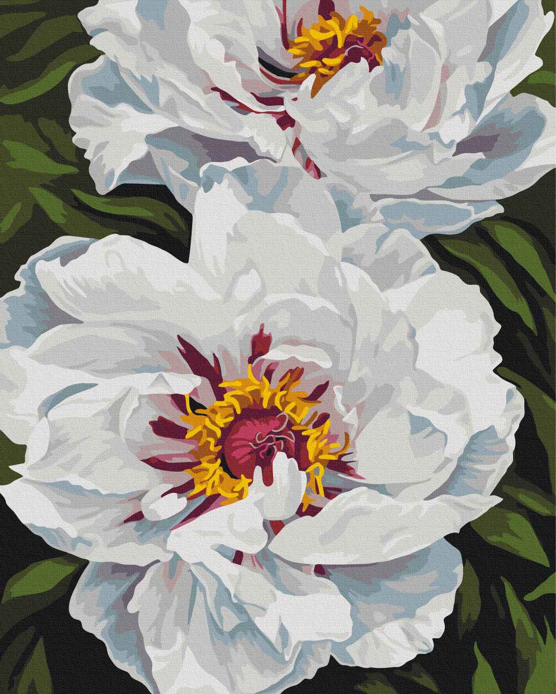 Painting by numbers White glow © Anastasia Alyokhina (BS54477)