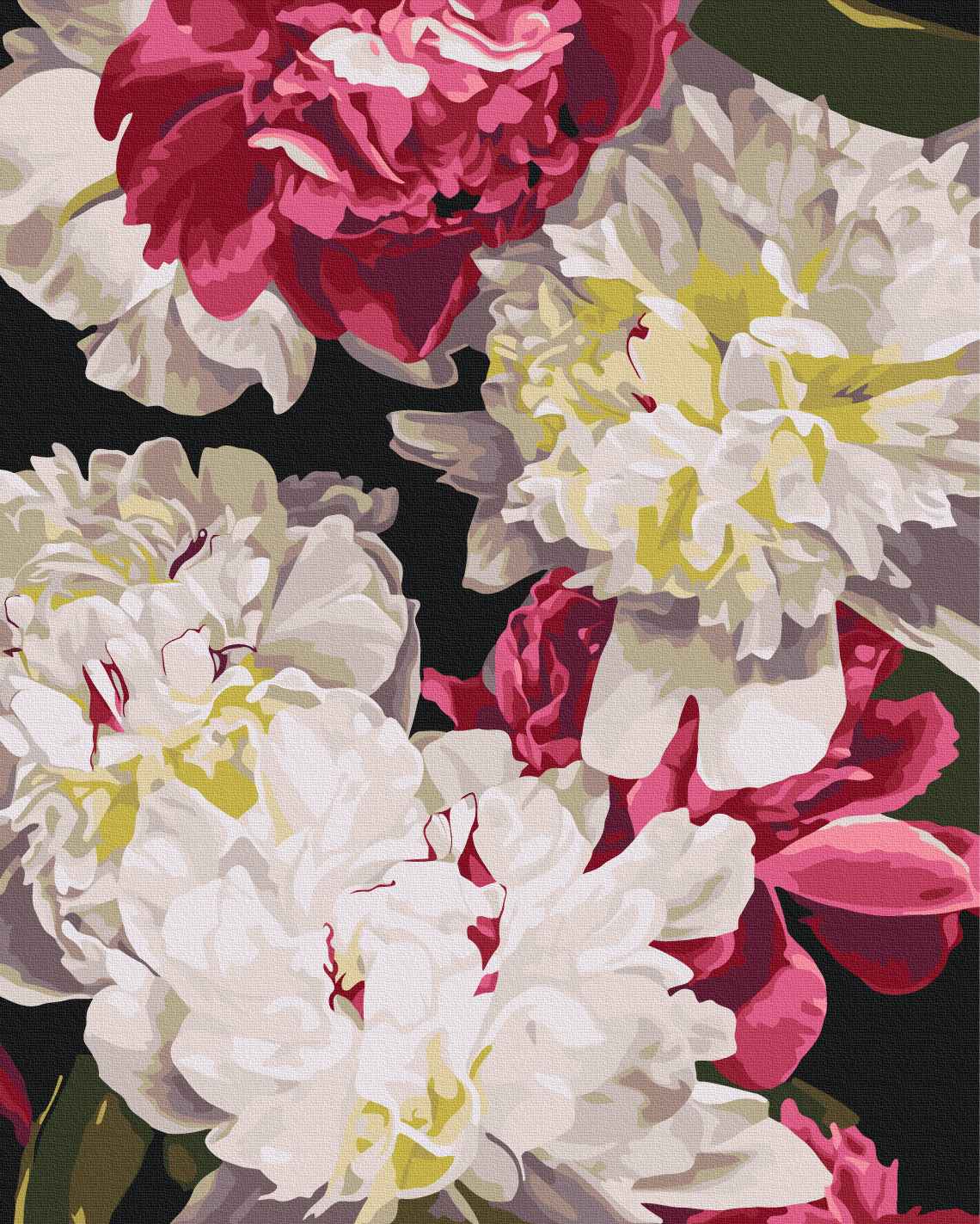 Painting by numbers In the shadow of light © Anastasia Alyokhina (BS54476)