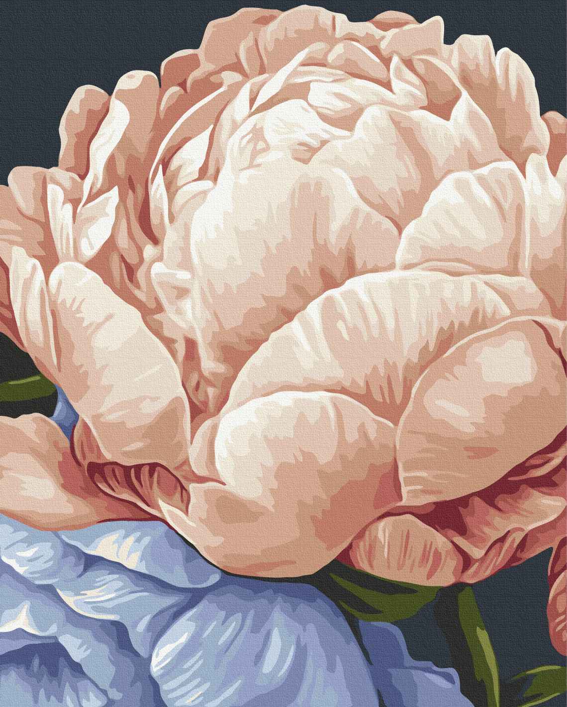 Painting by numbers Peace in flowers © Anastasia Alyokhina (BS54473)